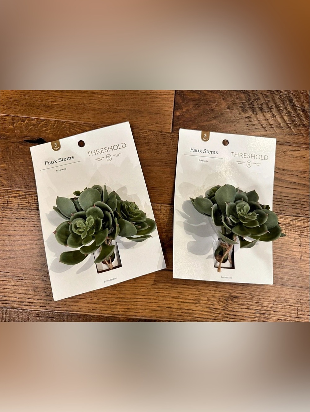Threshold Faux Echeveria Stems 3-Piece Plants Green & Brown